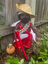 Load image into Gallery viewer, Francisco Siete Rayos,Muñeco Espiritual