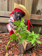 Load image into Gallery viewer, ,Ta Jose ,Doll,Muñeco Espiritual
